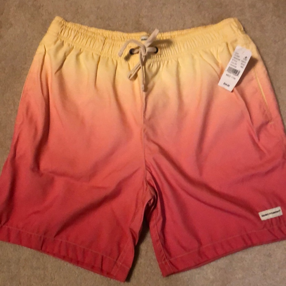 Pacsun - Men’s swim trunks